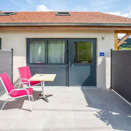 Domaine Des Ecuries - Appartements Meubles A Talloires Bagian luar foto